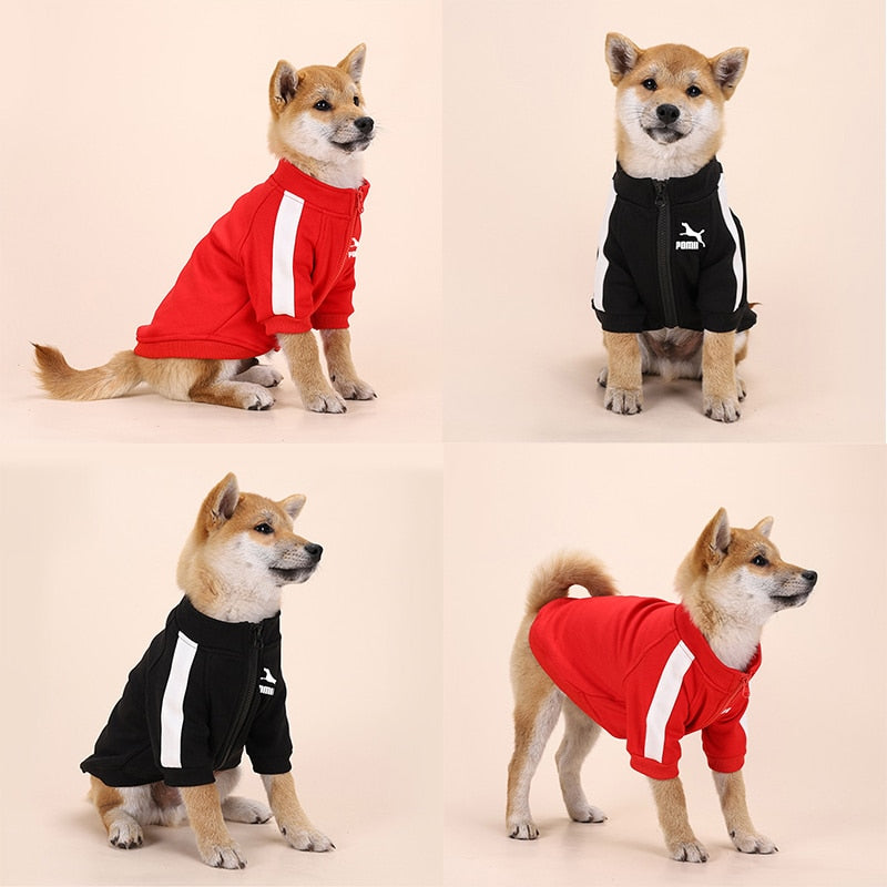 Winter Luxury Pet Dog Clothes Warm Dog Sweatshirt Small Medium-sized