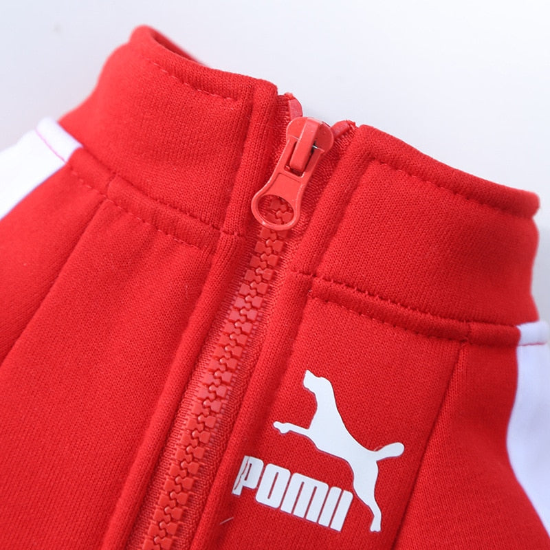 Winter Luxury Pet Dog Clothes Warm Dog Sweatshirt Small Medium-sized