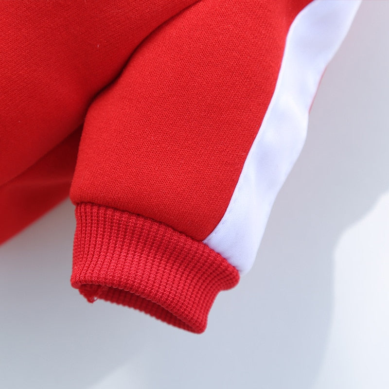 Winter Luxury Pet Dog Clothes Warm Dog Sweatshirt Small Medium-sized
