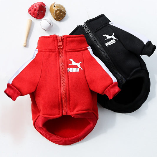 Winter Luxury Pet Dog Clothes Warm Dog Sweatshirt Small Medium-sized
