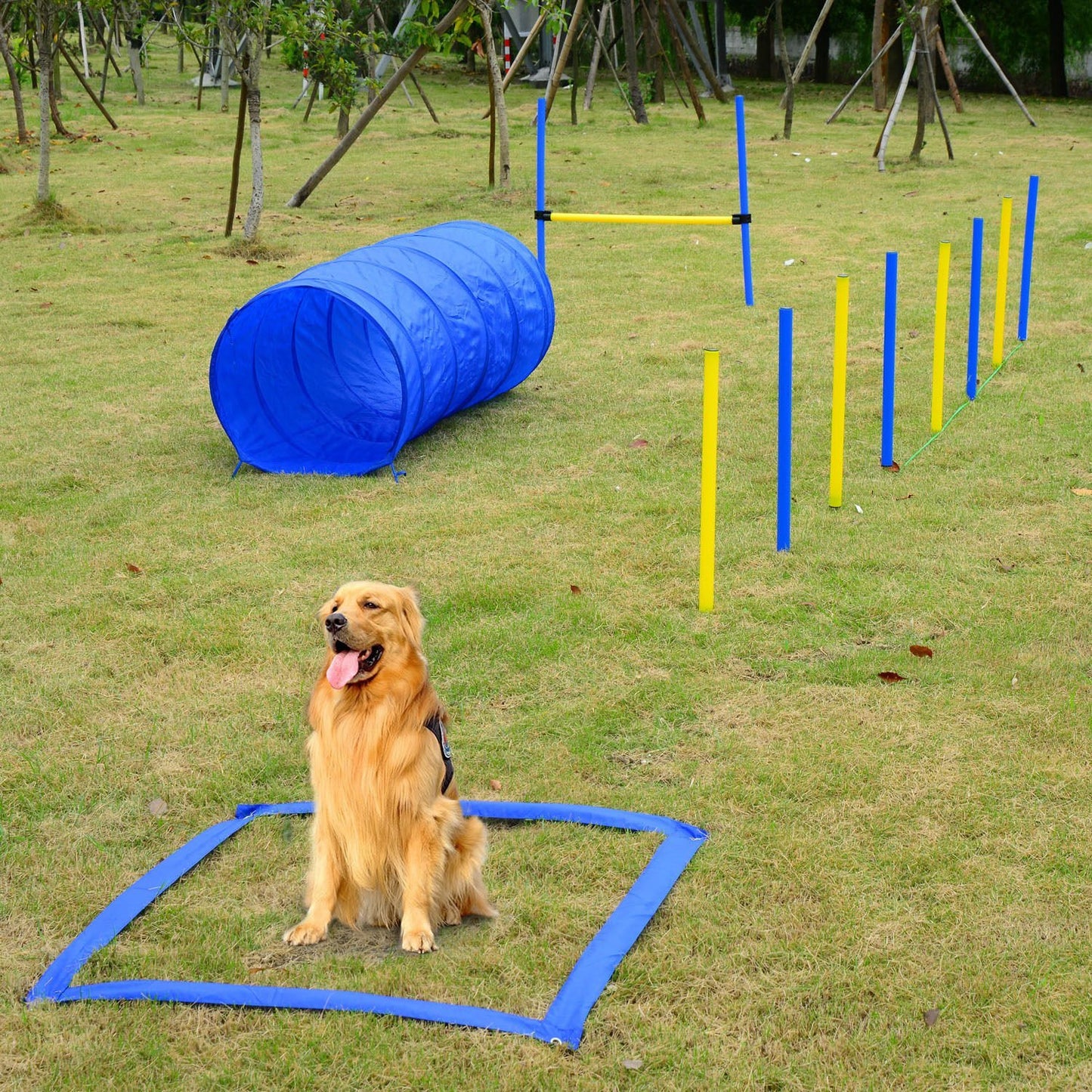 Dog Agility Starter Kit - Outdoor Exercise Training Set