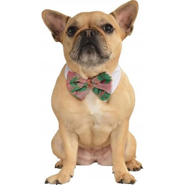 Poinsettia Christmas Pet Bowtie