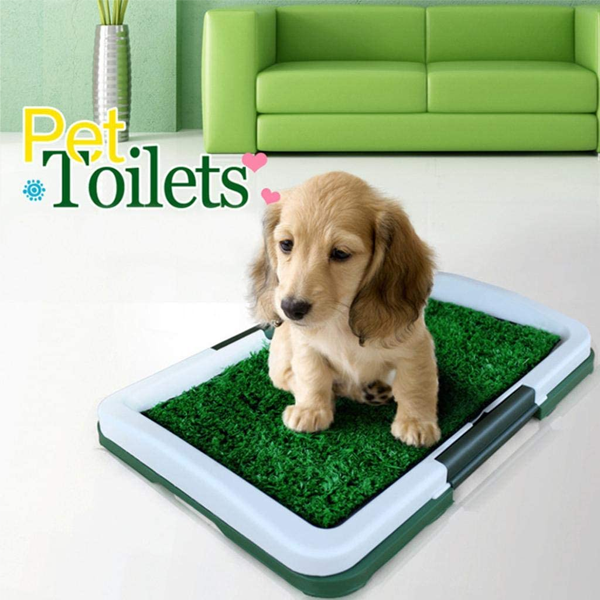 Odor-Absorbing Dog Toilet for Indoors or Patio for Apartments