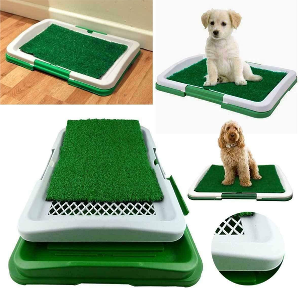 Odor-Absorbing Dog Toilet for Indoors or Patio for Apartments