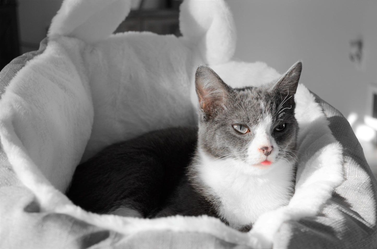 Cat Bed Sleeping Bag (Grey-Small)