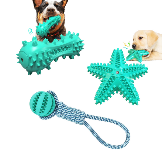 3 Pack Squeaky Toothbrush & Cotton Rope Ball Dog Toys