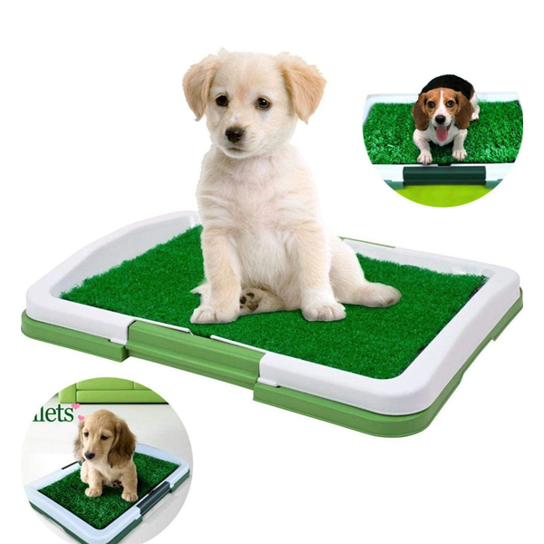 Odor-Absorbing Dog Toilet for Indoors or Patio for Apartments