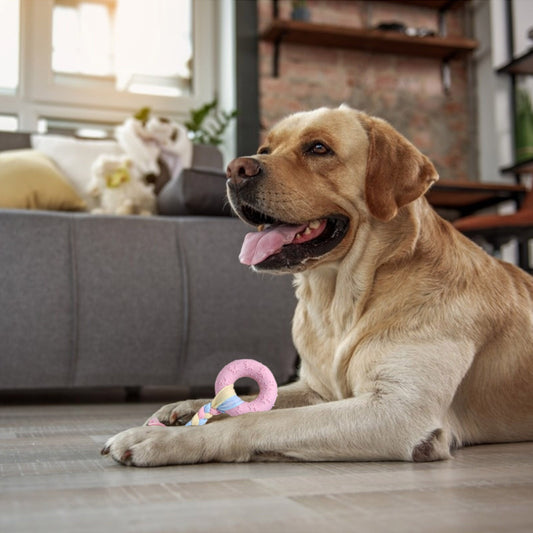 Dog Molar Chew Toy