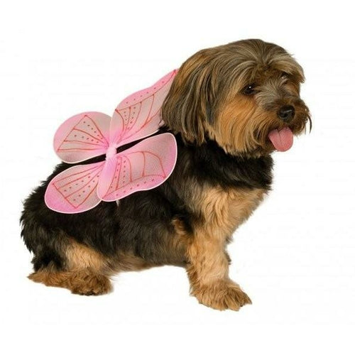 Fairy Pet Wings