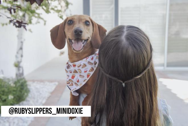 Drive-in Diner Tie On Bandana