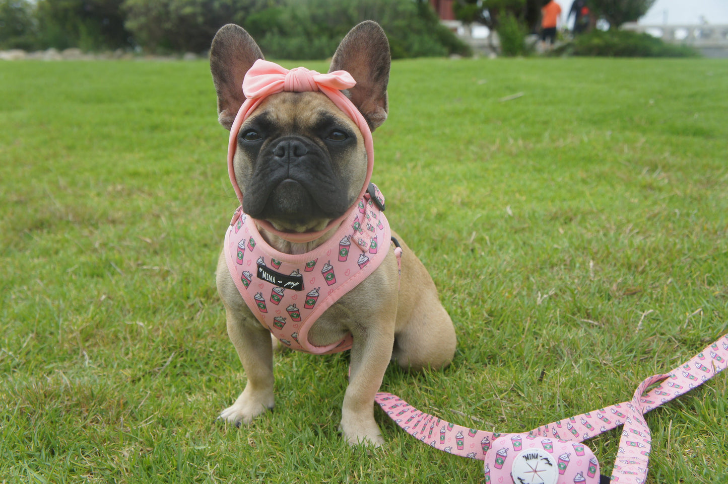 Pupshake Pink Comfort Leash