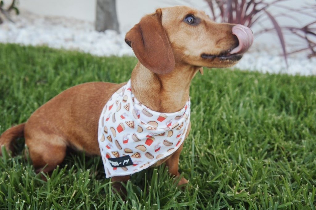 Drive-in Diner Tie On Bandana