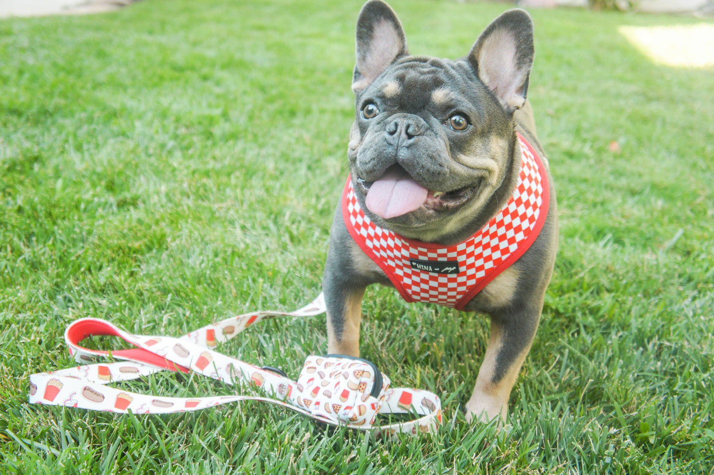 Drive-in Diner Comfort Leash