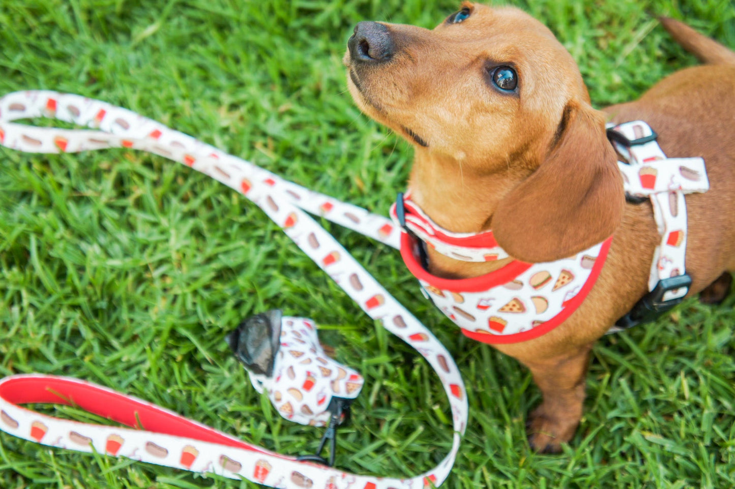 Drive-in Diner Comfort Leash