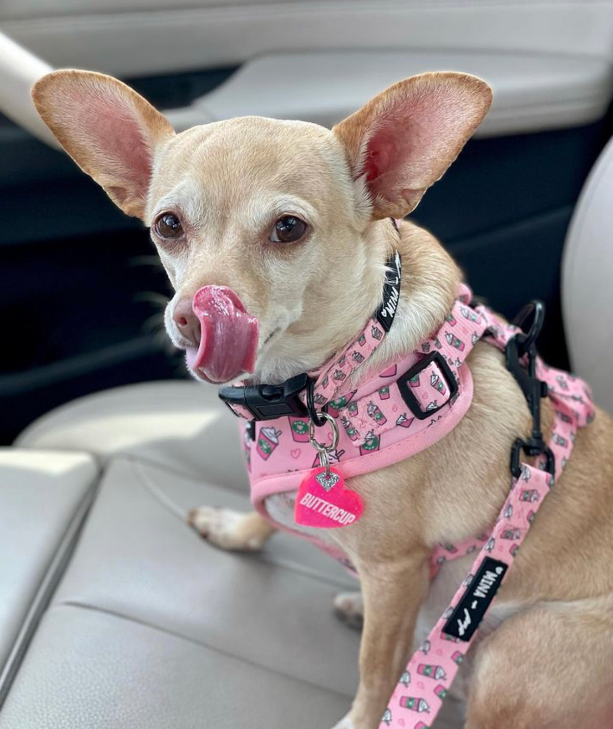 Pupshake Pink Adjustable Harness