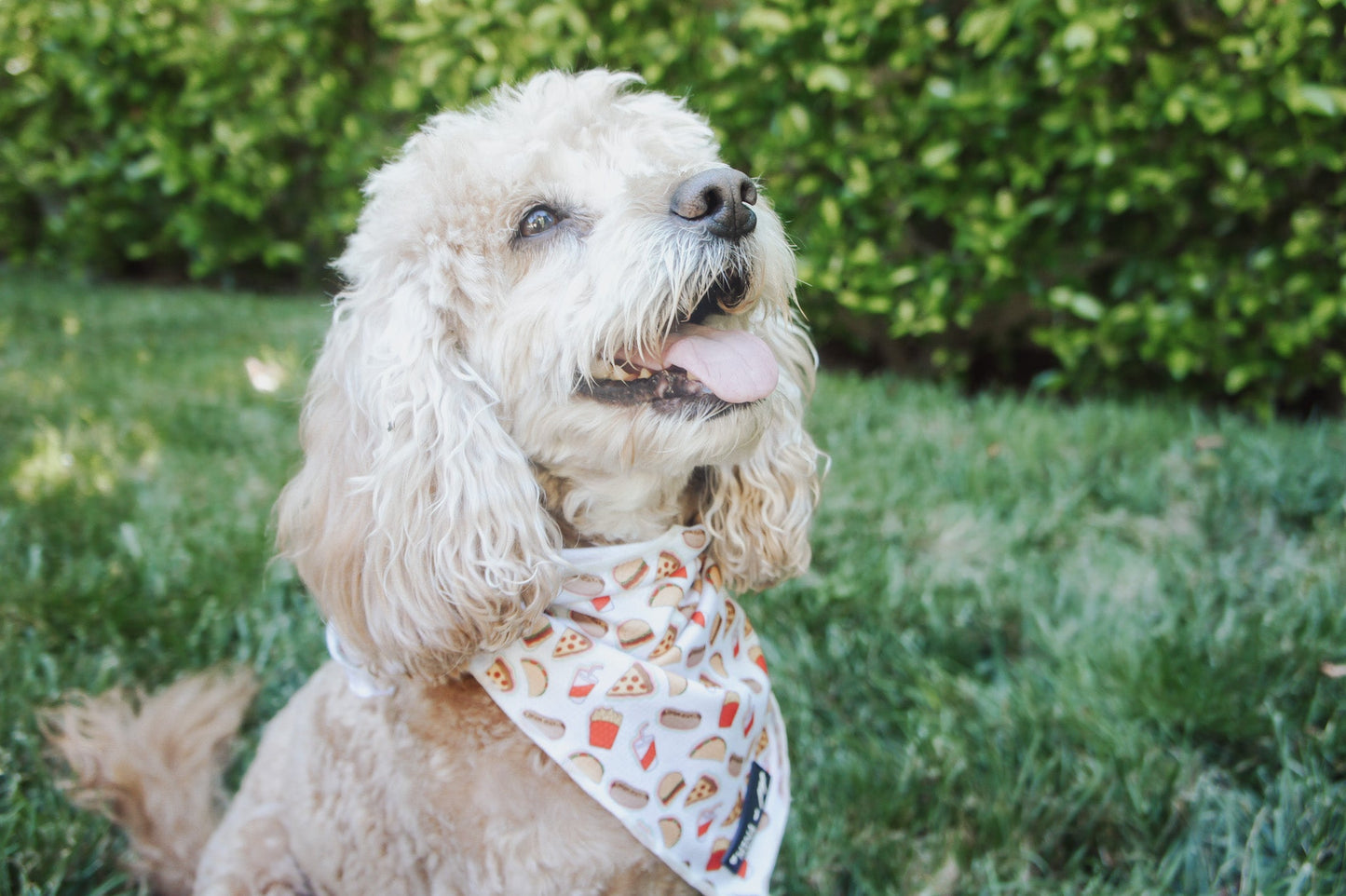 Drive-in Diner Tie On Bandana