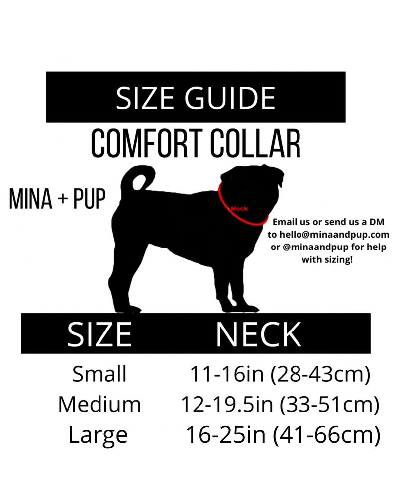 Pool Day Comfort Collar