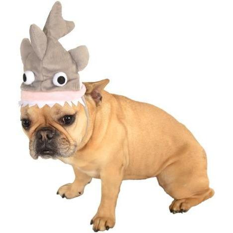 Shark Pet Hat