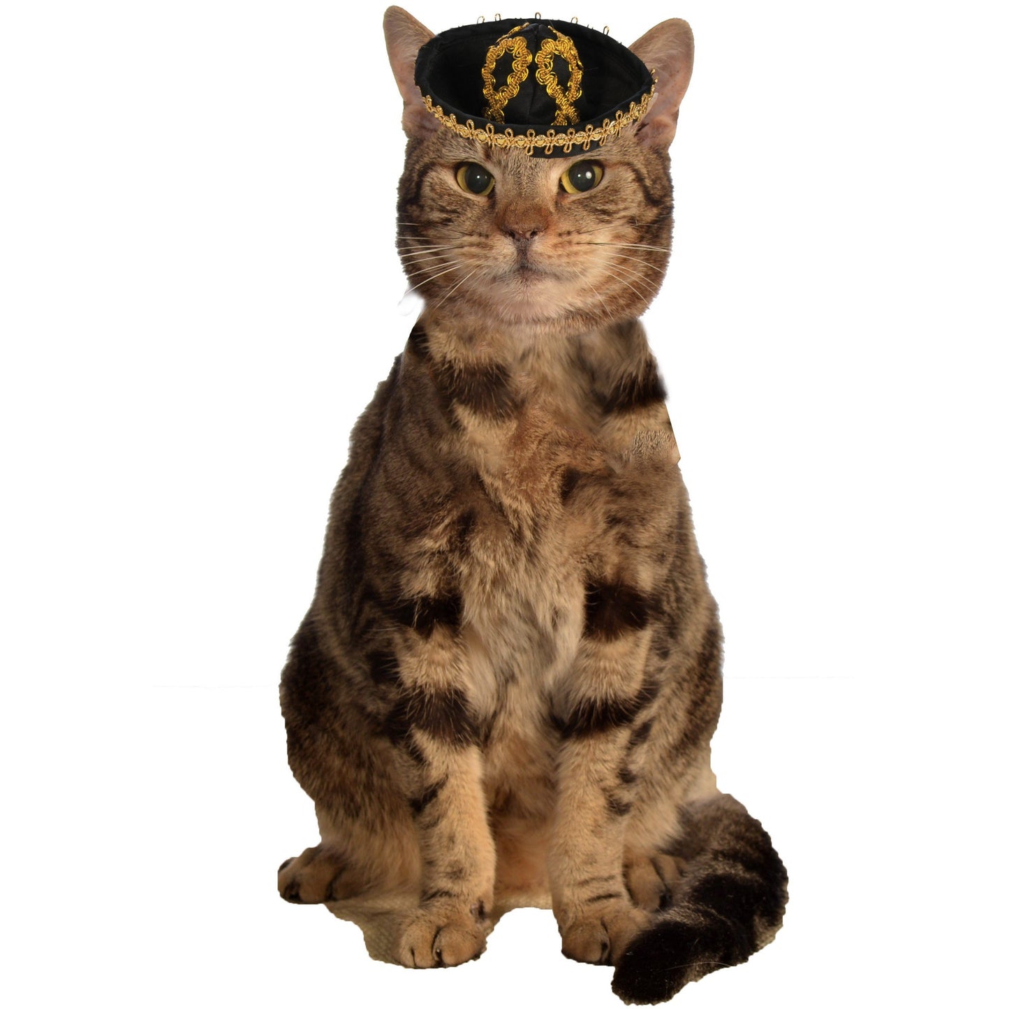 Sombrero Cat Hat