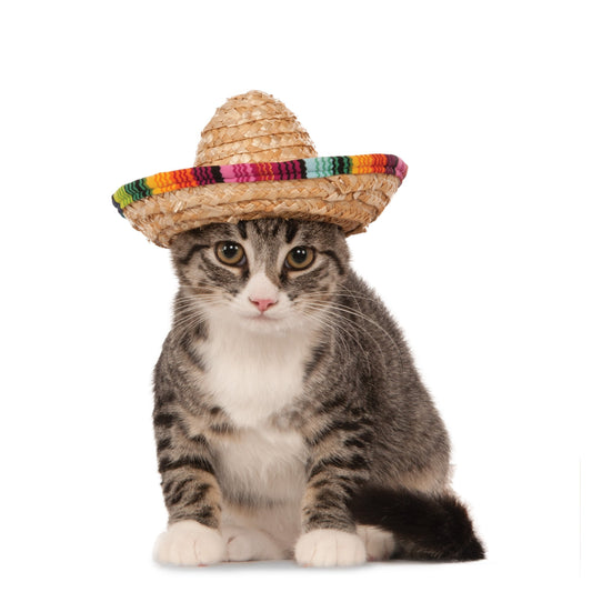 Straw Sombrero Cat Hat