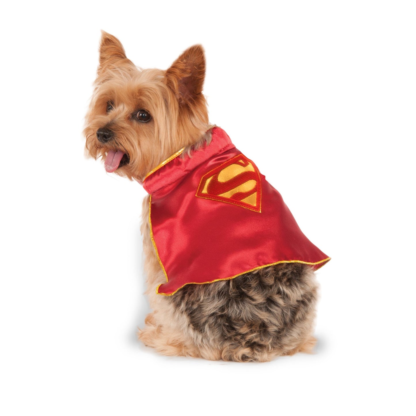 Supergirl Pet Cape - Halloween Costume!